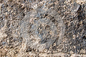 Jurassic Lime Stone Background