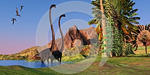 Jurassic Omeisaurus Dinosaurs