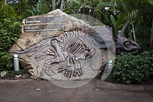 Jurassic Park Fossil