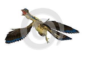Jurassic Period Archaeopteryx Avian Dinosaur