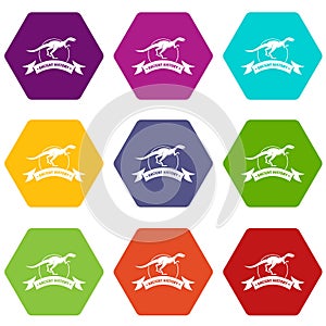 Jurassic raptor icons set 9 vector