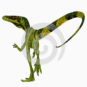 Juravenator Dinosaur Tail