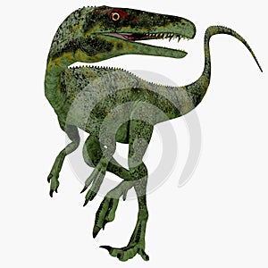 Juravenator Jurassic Dinosaur