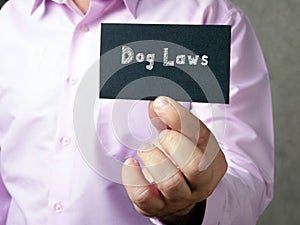 Juridical concept about Dog Laws  with phrase on the piece of paper photo