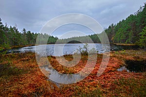 Jussi hiking trail - Black lake