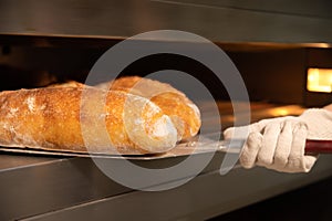 Just baked. A close-up of a shovel taking out freshly baked bread from the oven. Craft bakery. Copy space