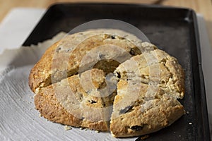 Just baked and homemade golden scone, sliced into wedges