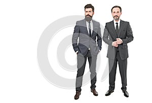 Just cool dudes. Successful men. Businessmen isolated on white. Bearded men in formalwear. Business partners photo