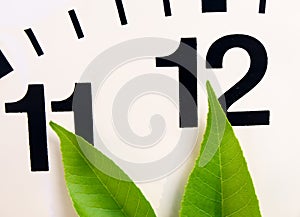 Just before deadline