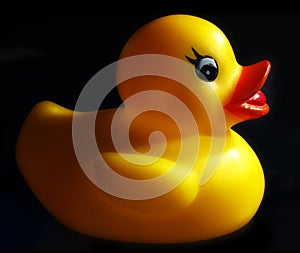 Just Ducky