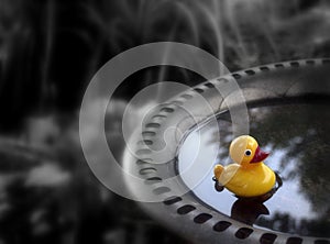 `Just Ducky`  Yellow duck in bird bath
