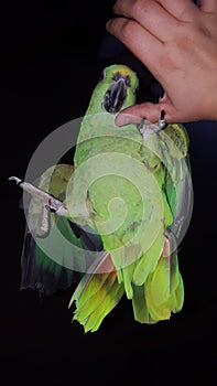 Just hang in there...