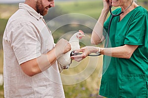 Just like humans, chickens sometimes get sick too. Closeup shot of a veterinarian using a stethoscope to assess a