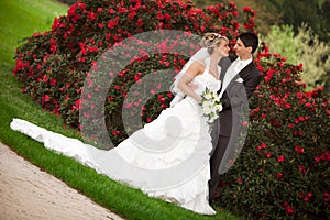 Just married couple looking