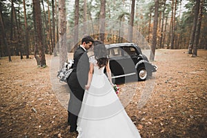 Just married couple in the luxury retro car on their wedding day