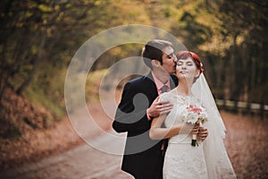 Just married couple posing in an autumn park