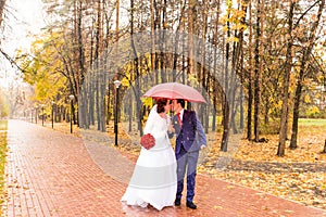 Just married couple under umbrella walking on road at park