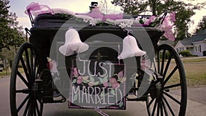 Just Married Horse Drawn Carriage from Behind Zooming Shot Slow Motion