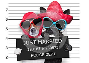 Just married mugshot