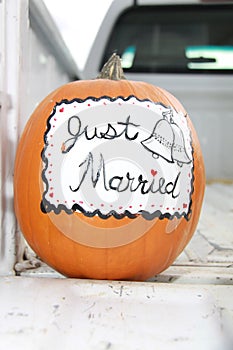 Just Married Pumpkin