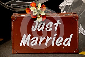 Just married suitcase