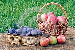 Just picked plums and apples in wicker baskets on old wooden boards