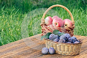 Just picked plums and apples in wicker baskets on old wooden boards