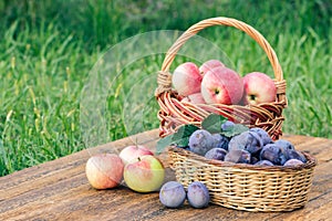 Just picked plums and apples in wicker baskets on old wooden boards