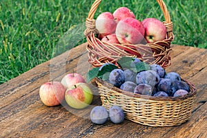 Just picked plums and apples in wicker baskets on old wooden boards