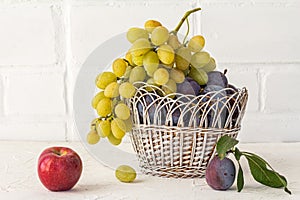 Just picked plums and grapes in wicker basket on white backdrop