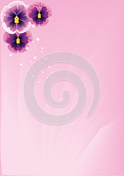 Just Pink Pansies Backdrop Portrait