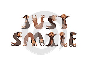 Just smile. Dachshund dogs letters