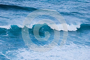 Just a wave in an ocean. Single wave plunging. Natural blue water. Barwon Heads, Victoria, Australia