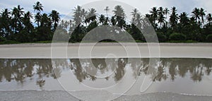 Just for your eyes. Tropical palm tree beach mirrored on the sea waters by low tide at Bainema, Morere, Bahia State, Brazil