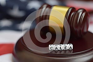 Justice mallet and CALEA acronym. Communications assistance and law enforcement act