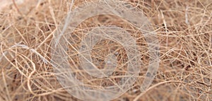 Jute fiber - fibers