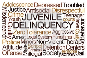 Juvenile Delinquency Word Cloud