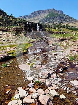 4k Amazing Rocky Mountain glacier stream waterfall in the summer with flowers