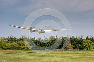 K21 Glider landing across trees