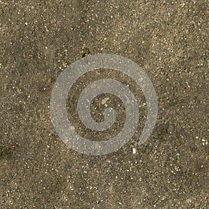 8K grass path Diffuse and Albedo map for 3d materials