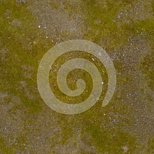 8K grass rock Diffuse and Albedo map for 3d materials