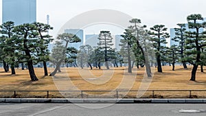 KÅkyo Higashi Gyoen, Imperial Palace Gardens