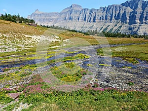 4k Rocky Mountain stream geological formation with flowers in the summer