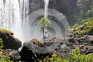 K50 Waterfall in VietnamÃ¢â¬â¢s Central Highland photo
