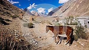 K2 and Broad Peak from Concordia in the Karakorum Mountains Pakistan