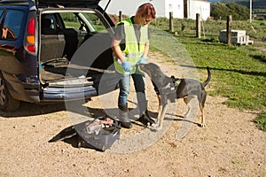 K9 drug police dog together with policeman suitcase ready for drug search