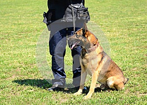 K9 police officer with his dog