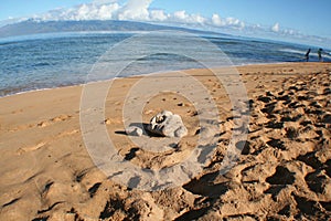 Ka`anapali Beach Maui Hawaii During October