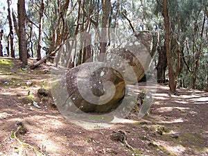 The Phallic Rock or Ka Ule o Nanahoa, Molokai, Hawaii photo