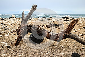 Kaanapali Beach in Lahaina, Maui, Hawaii